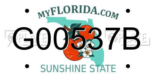 G00537B Florida License Plate
