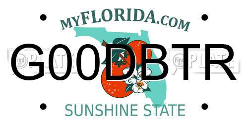 G00DBTR Florida License Plate