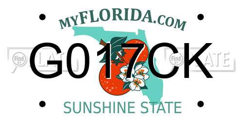 G017CK Florida License Plate