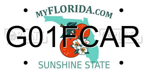 G01FCAR Florida License Plate