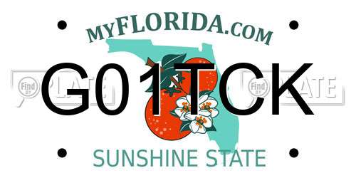G01TCK Florida License Plate