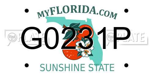 G0231P Florida License Plate