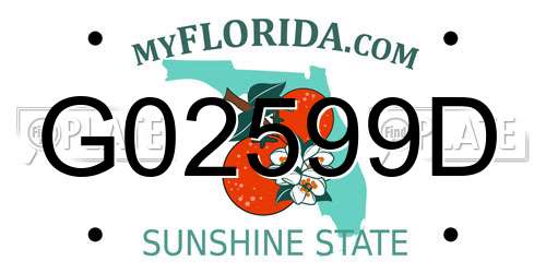 G02599D Florida License Plate