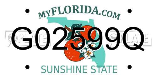 G02599Q Florida License Plate