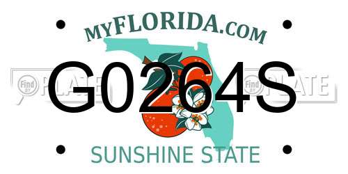 G0264S Florida License Plate