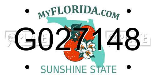 G027148 Florida License Plate