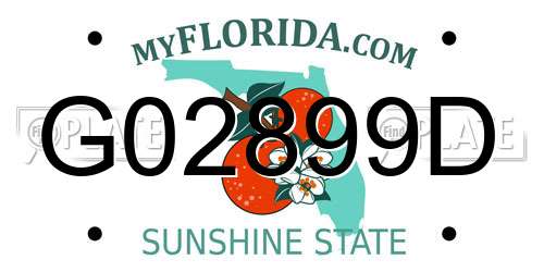 G02899D Florida License Plate