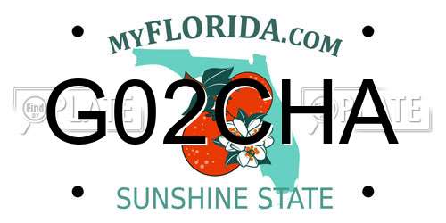 G02CHA Florida License Plate
