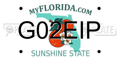 G02EIP Florida License Plate