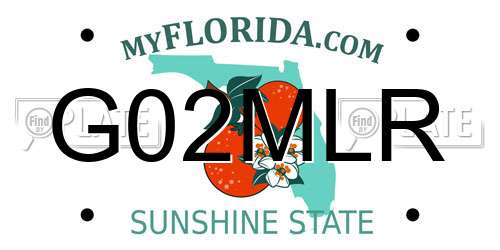 G02MLR Florida License Plate