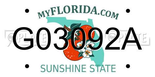 G03092A Florida License Plate