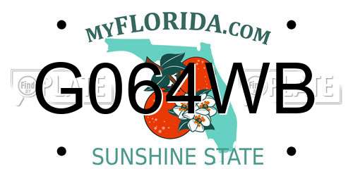 G064WB Florida License Plate