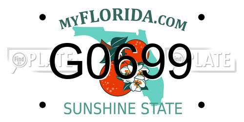 G0699 Florida License Plate