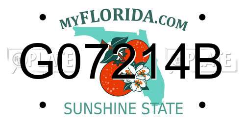 G07214B Florida License Plate
