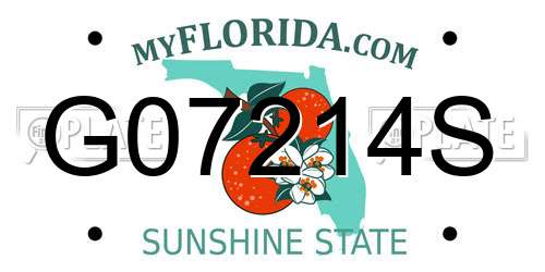G07214S Florida License Plate
