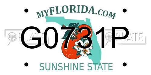 G0731P Florida License Plate