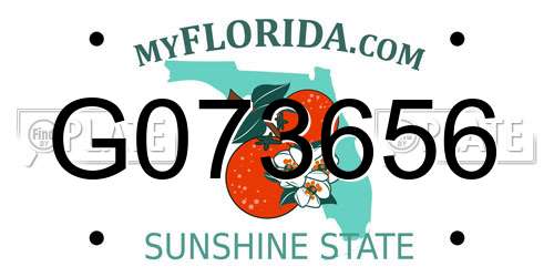 G073656 Florida License Plate