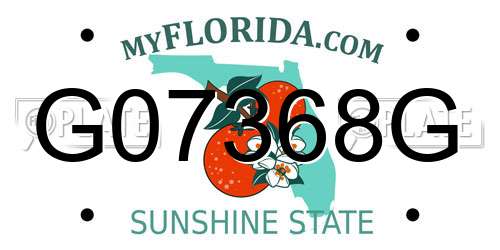 G07368G Florida License Plate