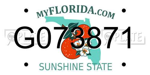 G073871 Florida License Plate