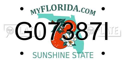 G07387I Florida License Plate