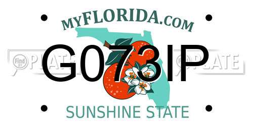 G073IP Florida License Plate