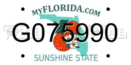 G075990 Florida License Plate