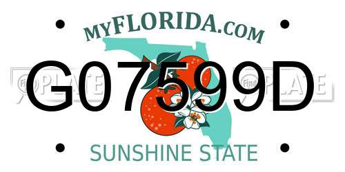 G07599D Florida License Plate