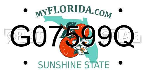 G07599Q Florida License Plate