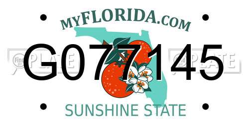 G077145 Florida License Plate