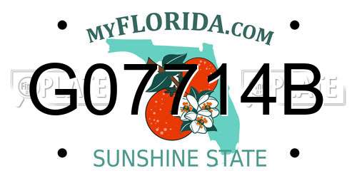 G07714B Florida License Plate
