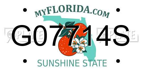 G07714S Florida License Plate