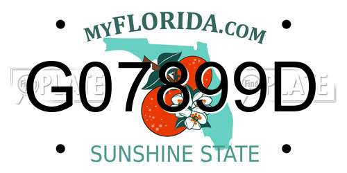 G07899D Florida License Plate