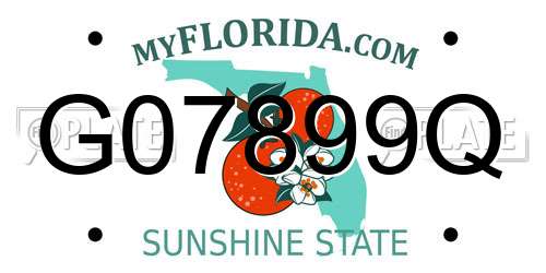 G07899Q Florida License Plate