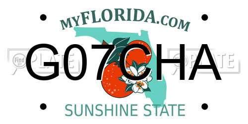 G07CHA Florida License Plate