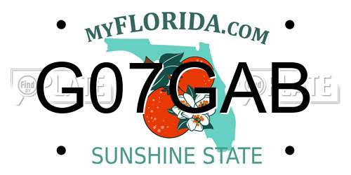 G07GAB Florida License Plate