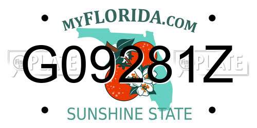 G09281Z Florida License Plate