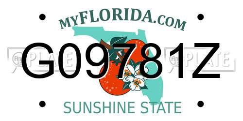 G09781Z Florida License Plate