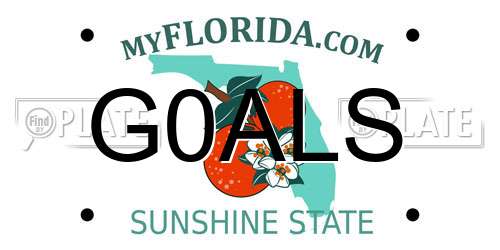 G0ALS Florida License Plate