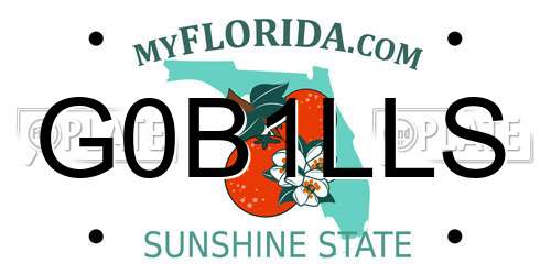 G0B1LLS Florida License Plate
