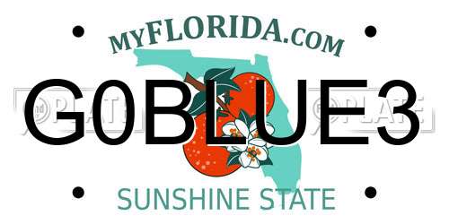 G0BLUE3 Florida License Plate