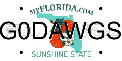 G0DAWGS Florida License Plate