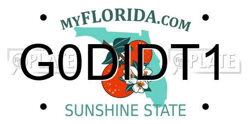 G0DIDT1 Florida License Plate