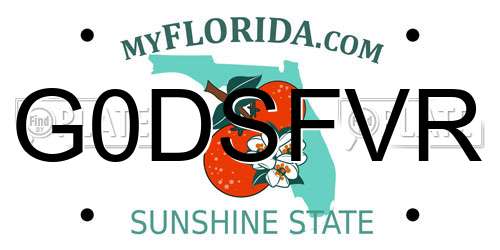 G0DSFVR Florida License Plate