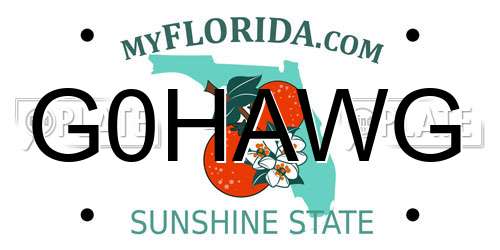 G0HAWG Florida License Plate