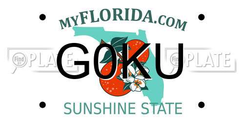 G0KU Florida License Plate