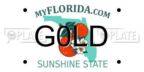 G0LD Florida License Plate