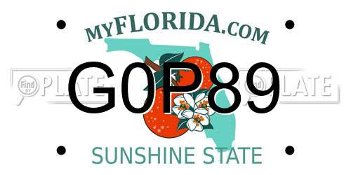 G0P89 Florida License Plate