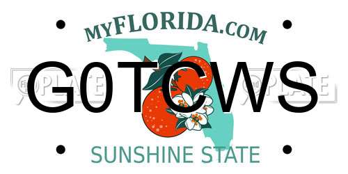 G0TCWS Florida License Plate