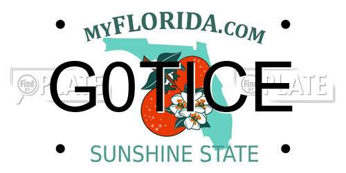 G0TICE Florida License Plate