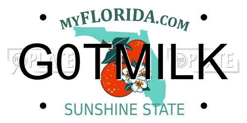 G0TMILK Florida License Plate